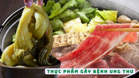 "Bệnh từ miệng mà ra": 4 loại thực phẩm đã được WHO xếp vào danh sách có khả năng gây ung thư