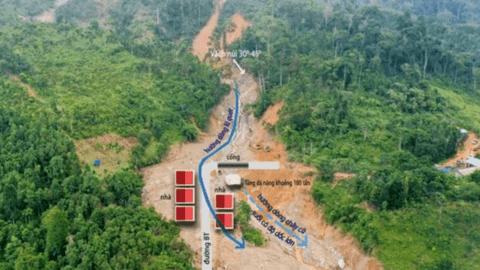 Nỗ lực trồng và bảo vệ rừng là tiền đề để phát triển bền vững