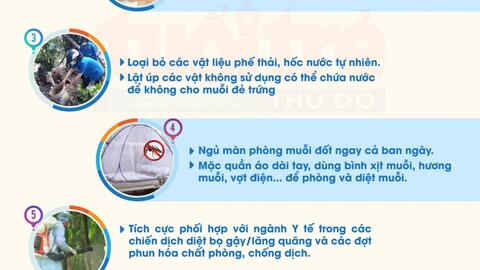 Biện pháp phòng bệnh sốt xuất huyết khi diễn biến dịch ở Hà Nội phức tạp