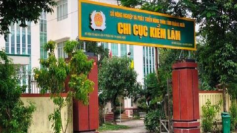 Thu hồi gần 1 tỉ đồng sai phạm tại Chi cục Kiểm lâm tỉnh Quảng Ngãi