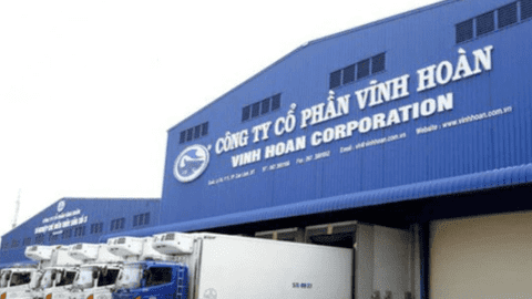 Vừa mua thêm một công ty nước ép rau quả, "nữ hoàng cá tra" Vĩnh Hoàn "đi chợ" M&A như thế nào trong các năm qua?