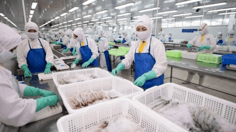 Doanh nghiệp xuất khẩu thủy sản miền Tây 'ngấm đòn' lạm phát