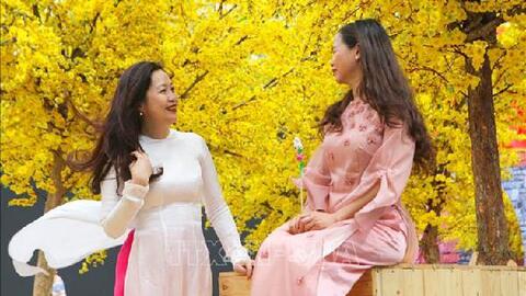Thời tiết ngày 13/1: Nhiều khu vực trên cả nước ngày nắng, Bắc Bộ nhiệt độ tăng dần