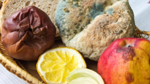 Ung thư đến từ miệng: 4 loại thực phẩm bác sĩ ung bướu không bao giờ ăn nhưng nhiều người thích