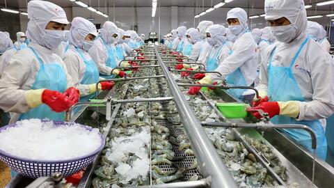 Phát triển kinh tế xanh, Bạc Liêu đi nhanh, bền vững