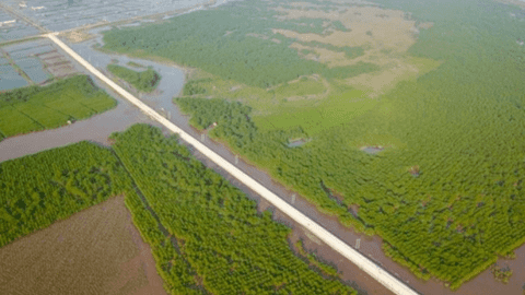 Doanh nghiệp xin làm dự án 'khủng' với quy mô 2.500ha ở Ninh Bình
