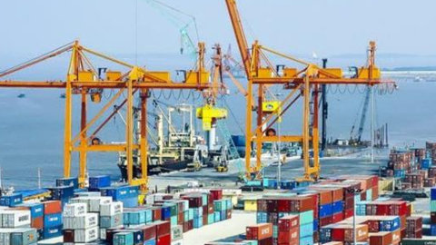 Công ty con của Viconship chốt chia cổ tức năm 2022 bằng tiền tỷ lệ 40%
