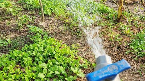 Truy tìm người gọi điện thoại lừa thu tiền nước