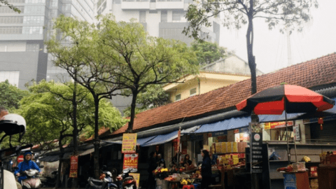 Hàng loạt cây xanh ở Hà Nội bị đóng đinh đang “kêu cứu”