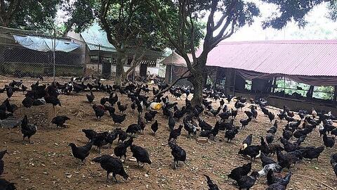 Hà Nội cho phép sử dụng 3 địa danh địa phương để đăng ký nhãn hiệu tập thể