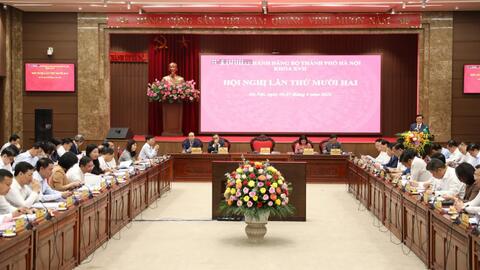 Phân tích, đánh giá, cho ý kiến vào các định hướng phát triển của thành phố