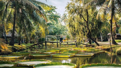 Loạt điểm đến Việt Nam được chuyên trang nước ngoài ca ngợi: Cái tên ở TP.HCM và Cát Bà nhiều người chưa biết