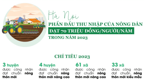 Năm 2023, Hà Nội phấn đấu thu nhập của nông dân đạt 70 triệu đồng/người/năm