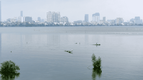 Rác thải bừa bãi ven Hồ Tây