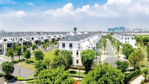 Novaland đã trở lại bình thường?