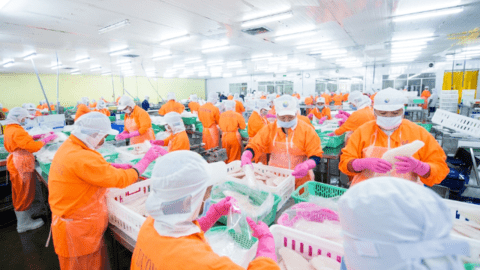 Xuất khẩu khó khăn, Navico dự kiến giảm lãi 35%