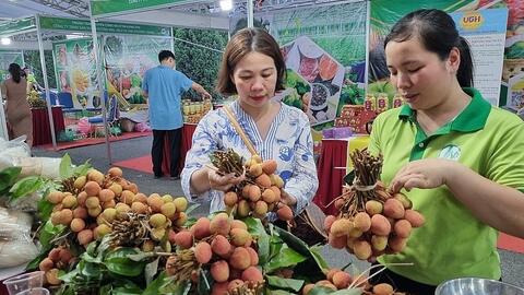 Tạo sự chuyển biến mạnh mẽ trong nhận thức, hành động phát triển nông nghiệp, nông thôn