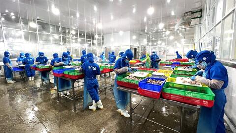 Kiều hối về TP Hồ Chí Minh tiếp tục tăng trưởng