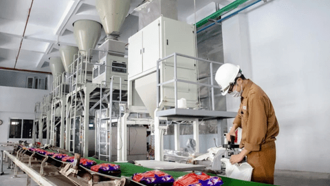 Hoá chất Đức Giang (DGC) báo lãi quý 2 giảm quá nửa so với cùng kỳ, 60% tài sản đem gửi ngân hàng