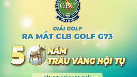 Giải golf ra mắt câu lạc bộ Golf G73 - 50 năm Trâu Vàng hội tụ