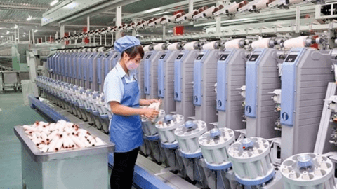 Nhà máy sợi An Ninh đi vào hoạt động, Damsan (ADS) báo lãi quý 2 tăng trưởng 43%