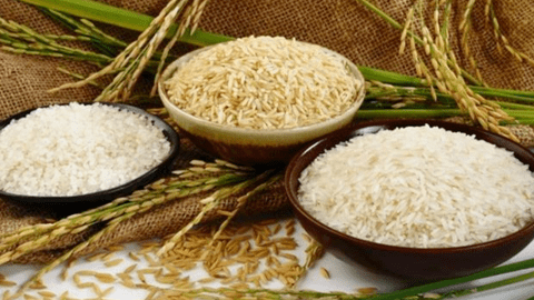 Một doanh nghiệp xuất khẩu gạo lớn bất ngờ báo lỗ lần đầu từ khi lên sàn