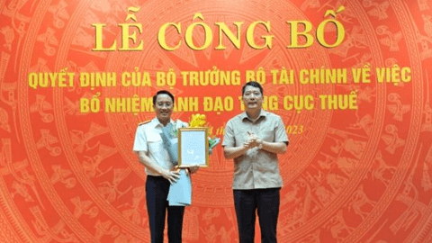 Tổng cục Thuế có phó tổng cục trưởng mới