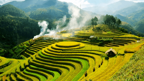 Chi phí du lịch Mù Cang Chải mùa lúa chín trong 3 ngày 2 đêm