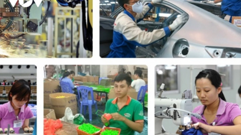 Tháo gỡ khó khăn cho doanh nghiệp