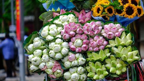 Giới trẻ "rỉ tai"  với Festival Thu Hà Nội 2023