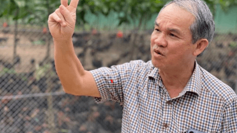 Hoàng Anh Gia Lai muốn bán riêng lẻ 130 triệu cổ phiếu, thu về 1.300 tỷ đồng để trả nợ