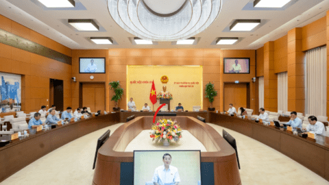 Chưa thực hiện đấu giá kho số viễn thông vì không xác định được giá khởi điểm