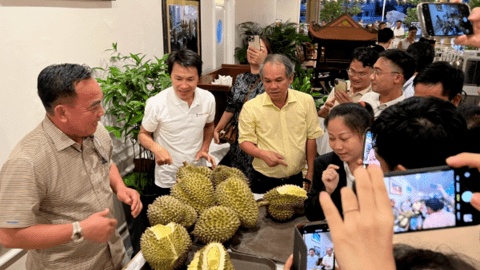 Tiếp tục có lãi nhưng vẫn bị kiểm toán nghi ngờ khả năng hoạt động liên tục, Hoàng Anh Gia Lai nói gì?