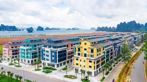 Lợi nhuận 6 tháng của CEO Group điều chỉnh giảm sau kiểm toán, tăng trưởng âm so với cùng kỳ năm ngoái
