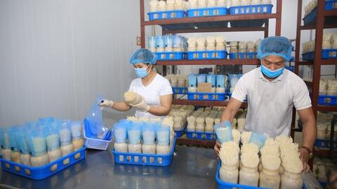 Hà Nội tập trung ứng dụng công nghệ cao vào sản xuất nông nghiệp