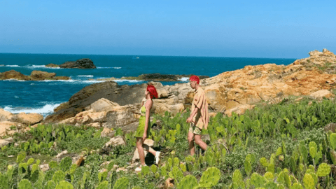 Đến thăm xứ hoa vàng trong 3 ngày 2 đêm với chi phí khoảng 4 triệu đồng