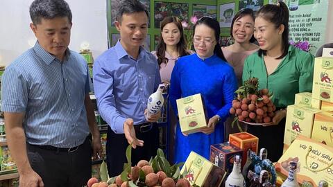 Phát triển Vùng Thủ đô hiện đại và bền vững