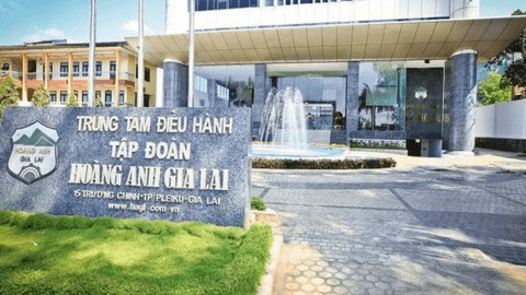 Hoàng Anh Gia Lai (HAGL): Lợi nhuận 9 tháng đạt 710 tỷ đồng, tự tin nguồn thu từ chuối sẽ tăng mạnh vào cuối năm