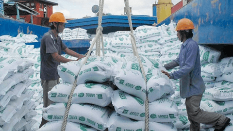 Gạo Việt lập kỷ lục lịch sử sau 34 năm tham gia 'sân chơi' thế giới
