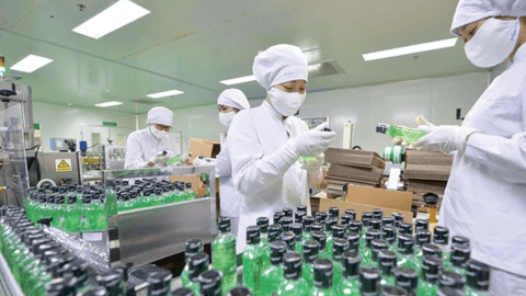 Traphaco dự chi 83 tỷ đồng tạm ứng cổ tức cho cổ đông
