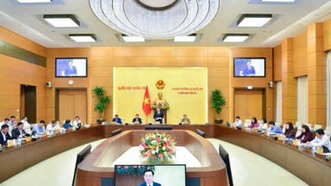 Sửa Luật Thuế giá trị gia tăng, tránh tình trạng "luật khung", "luật ống"