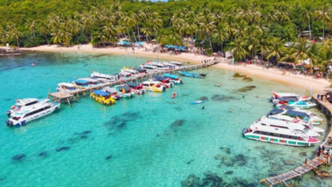 Sôi động dịch vụ tour Tết 2024