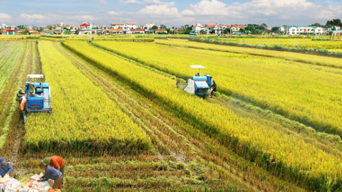 Một ngành kinh tế tại Việt Nam có mức tăng trưởng cao nhất trong nhiều năm, thặng dư thương mại kỷ lục