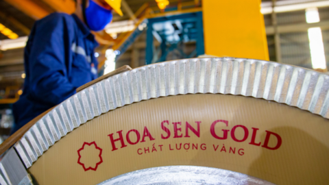 Hoa Sen (HSG) lên kế hoạch IPO một công ty con