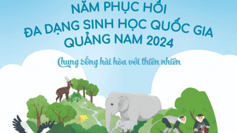 Quảng Nam triển khai chuỗi hoạt động bảo vệ đa dạng sinh học