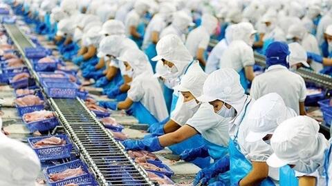 Doanh thu tháng 2/2024 của Vĩnh Hoàn sụt giảm 13% so với tháng trước