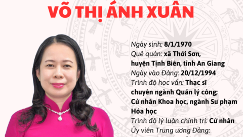 Chân dung quyền Chủ tịch nước Võ Thị Ánh Xuân