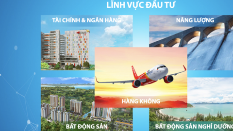 Tập đoàn Sovico đạt lợi nhuận 1.485 tỷ năm 2023, vốn chủ sở hữu đạt 67.412 tỷ