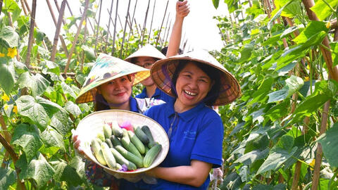 Tour du lịch ven đô Hà Nội hút khách nước ngoài