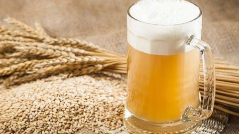 Doanh nghiệp đầu tiên sản xuất malt bia tại Việt Nam báo lỗ năm thứ 4 liên tiếp